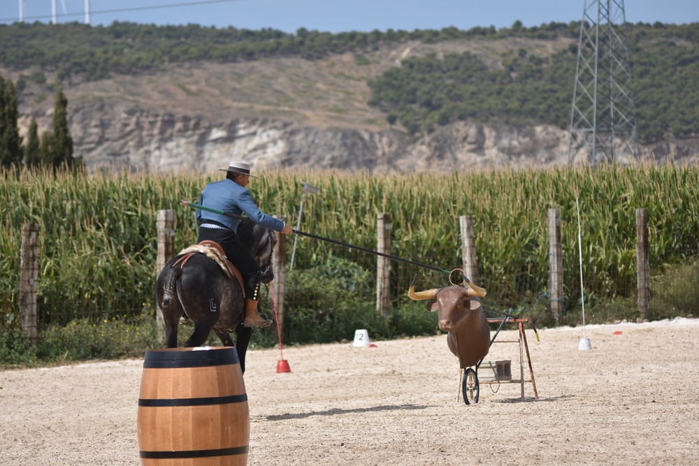 Jornadas de Equitación de Trabajo en Falces